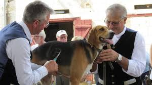 Les Chiens A La Fete Au Chateau De Montpoupon