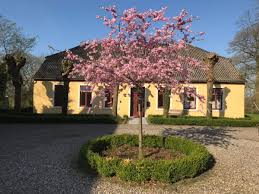 fruhling im gutshaus suderrade 2 5 pers ebenerdig traum ferienwohnung ferienhaus ferienwohnung