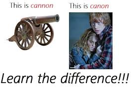 Canon Vs Cannon Cannon Funny Canon