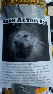 20 Hilarious Lost Pet Signs