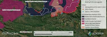 Image result for Droguetia ambigua