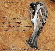 We Can Do No Great Things Only Small Things With Great Love Have A Great Morning And Fruitful Weekend Ahead Canning Great Love Great Photos