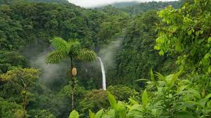 Checkout high quality nature wallpapers for android, pc & mac, laptop, smartphones, desktop and tablets with different resolutions. Full Hd Size Nature Wallpapers Free Downloads Full Jumanji Jungle Background 1600x900 Wallpaper Teahub Io