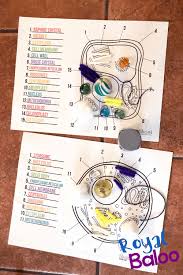 Test your knowledge with a quiz. Learn All About Cells With Slime Royal Baloo