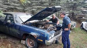 Image result for True Blue 1973 Fury