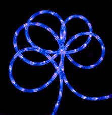 Vickerman Indoor And Outdoor Christmas Rope Led Rope Light Wayfair