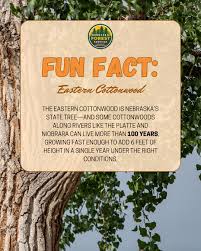 Image result for Eye Rest Green 1972 Hussmann