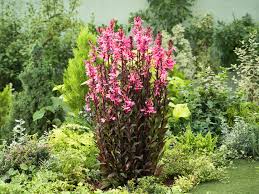 Den eigenen garten planen, anlegen und gestalten. Cottage Garten Anlegen Ideen Zur Gestaltung Obi