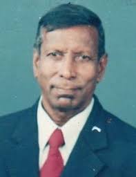 Expatriate sportspeople in the Netherlands