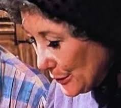 Food in season 8 of Little House