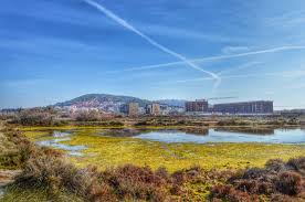 Depuis Les Anciens Salins De Villeroy Vue Sur Sete Et Le Nouveau Quartier Des Salins Geographie Photos Bassin