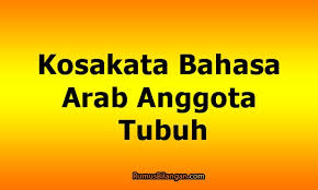 Bahasa arab sendiri bagi umat islam tentu bukan sesuatu yang asing. Bahasa Arab Anggota Tubuh Kosakata Beserta Artinya