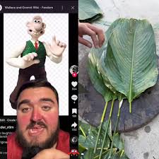 Wallace and Gromit Smile Millie Bobby Brown