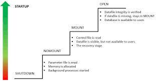 Oracle Startup - How To Start An Oracle Database Instance