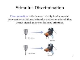 The Very Best Example Of Distinguish Between Stimulus Generalization And Stimulus Discrimination
