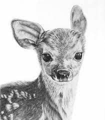 Subscribe for new tutorials every week. Custom Pet Drawing Custom Pet Portrait Dog Memorial Cat Memorial Pet Portrait Dog Memorial Gift Custom Dog Portrait Custom Dog Baby Animal Drawings Realistic Animal Drawings Animal Drawings Sketches