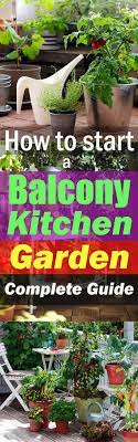 How To Start A Balcony Kitchen Garden Complete Guide Organic Vegetable Garden Kitchen Garden Organic Container Gardening