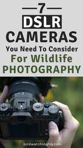 Pin On Photography