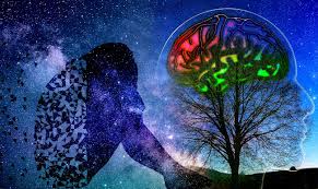 We did not find results for: Adultes Surdoues Et Si Vous L Etiez Aussi Comment Eviter D En Souffrir