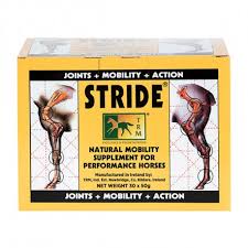 Articulation Cheval Trm Stride Cheval Energy