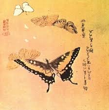 We did not find results for: The Art Of The Japanese Butterfly Hubpages