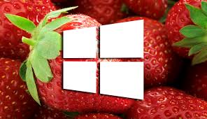 Explore and download tons of high quality 4k wallpapers all for free! How To Download Extract Wallpapers From A Windows 10 Theme Pack Easytutorial