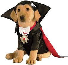 5.0 out of 5 stars 6. The 8 Best Halloween Costumes For Dogs