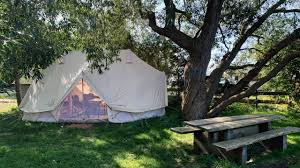 Set in beautiful, english countryside locations, cloud nine is coming to dorset, norfolk and the cotswolds this summer for 6 weeks of family fun from 19th july. Nordisk Glamping Urlaub Und Freizeit An Der Schonen Schlei