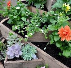 Blumenbeet Aus Fass Bauen Anleitung Dekoking Pflanzen Pflanzkubel Pflanzenkubel