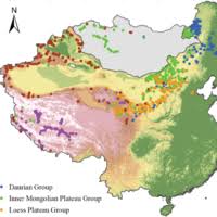 Image result for Polygala melilotoides