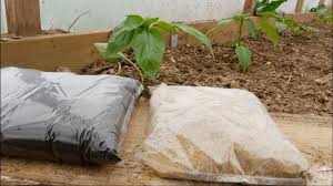 This involved a slaughter house, 5 i'm game (no pun intended) for almost anything diy but i can't think of a good way to do this at home. Super Fertilizers Blood Bone Meal How When Where What Youtube