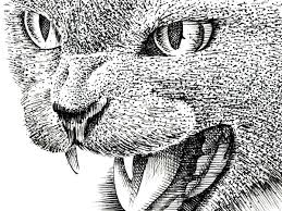 I'm going to try it with my son today! How To Draw A Cat With Pen And Ink