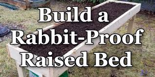 In this way, how do i protect my raised garden beds from rabbits? How To Build A Rabbit Proof Raised Bed Thistle Downs Farm