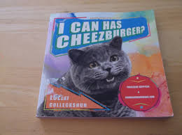 Image result for i can has cheezburger