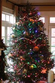 The tradition of christmas trees has its antecedents in the countries of northern europe. White Lights Or Multicolored Lights For Your Christmas Tree