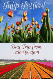 Tulip Festival At The Garden Of Europe Keukenhof Netherlands Tulip Festival Holland Day Trips From Amsterdam Tulip Festival