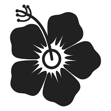 Download Hibiscus Flower Svg Png Free Hibiscus Flower Svg Png Transparent Images 90528 Pngio