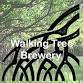 JOHNNY DEBT: Walking Tree Brewery event image
