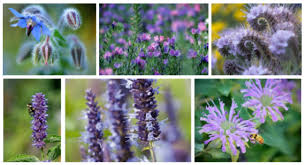 Free shipping on qualified orders. Best Practices To Attract Bees And Other Pollinators