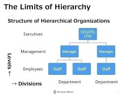 business structure chart jasonkellyphoto co