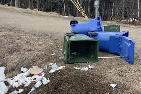 POV with Dancewithmeeee 18+ handjob