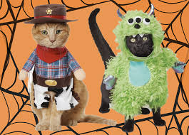 Check our ranking and reviews below. 30 Cat Halloween Costumes For Your Ferocious Little Beast
