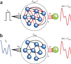 Higher power levels range from 1,000 to 1,300 watts. Building Functional Networks Of Spiking Model Neurons Nature Neuroscience