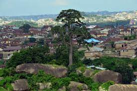 File:Tree on Olumo Rock in Abeokuta, Ogun State-Nigeria.jpg - Wikimedia  Commons