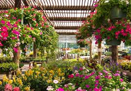 In addition to our own fields, we work with a number of growers in our area. Nursery Near Me Springhill Nurseries