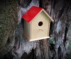 To attract tiny birds like nuthatches, bluebirds or chickadees, you may want to make the floor area a bit smaller by gluing an extra piece of wood to the. Making A Birdhouse 11 Steps With Pictures Instructables