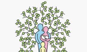 La importancia de 'armar' su árbol genealógico - Ser Saludables