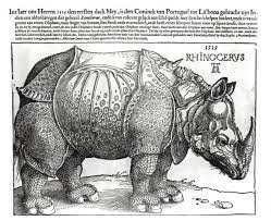 Lp liczba pojedyncza das rhinozeros, rhinozeros(ses), rhinozeros, rhinozeros; Albrecht Durer Rhinozeros Kunstdruck Leinwandbild Gerahmtes Bild Glasbild