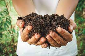 How To Use Leaves For Compost And Mulch Gardener S Path