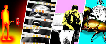 The 666 Rule, the Straight Men Who Love Male Porn Stars and How to Last  Longer in Bed | by Jeff Gross | MEL Magazine | Medium